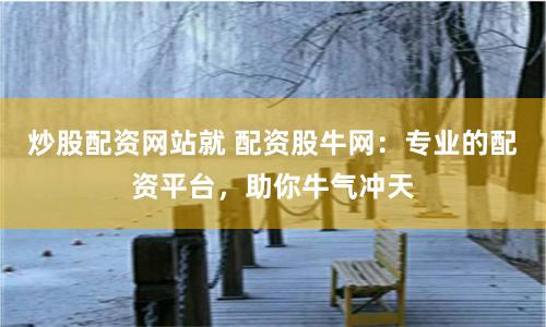 炒股配资网站就 配资股牛网：专业的配资平台，助你牛气冲天