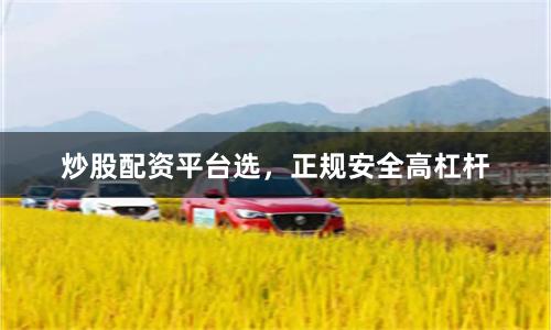 炒股配资平台选，正规安全高杠杆